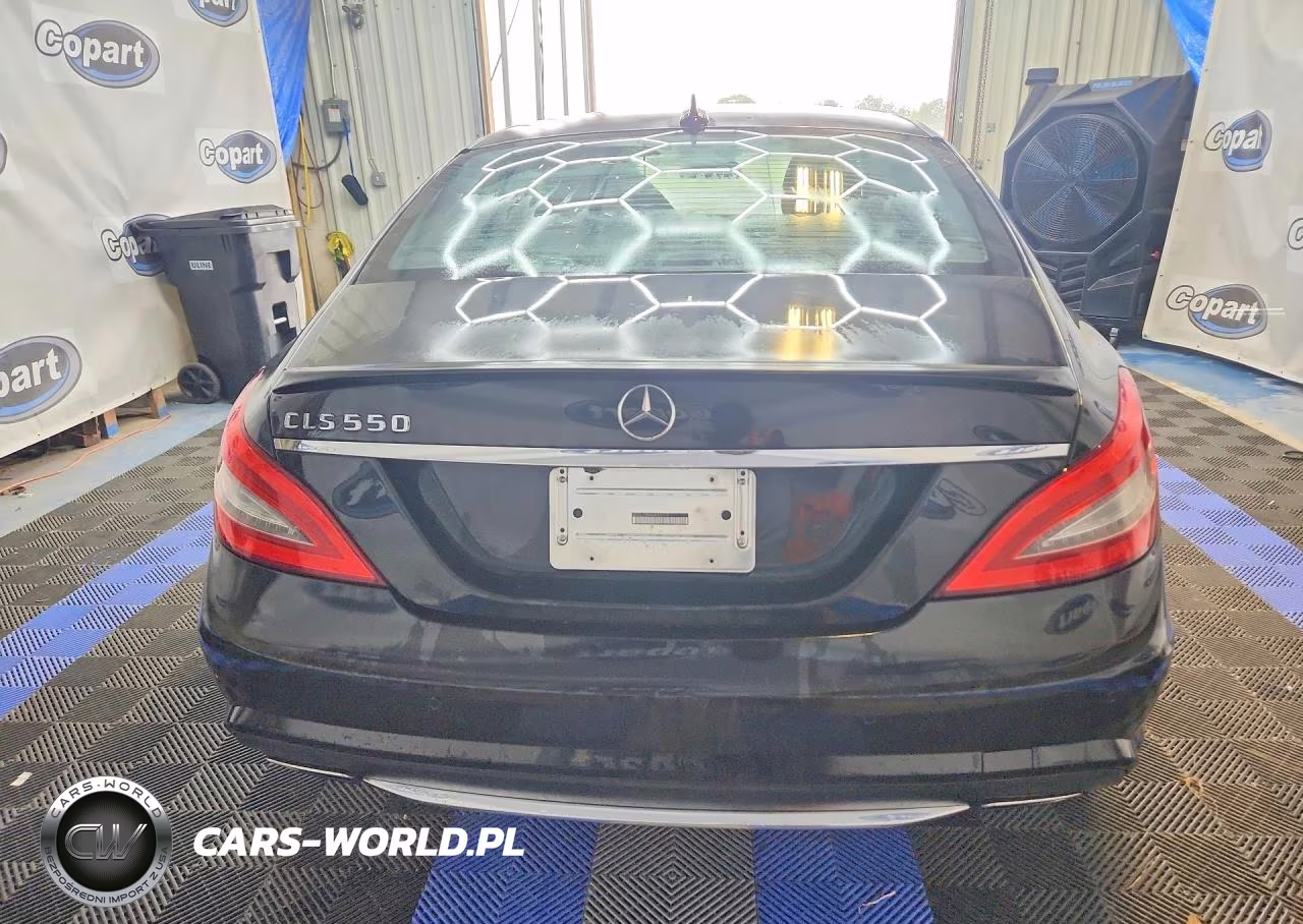 2014 Mercedes-Benz Cls 550 VIN:WDDLJ7DB8EA089807 - 6
