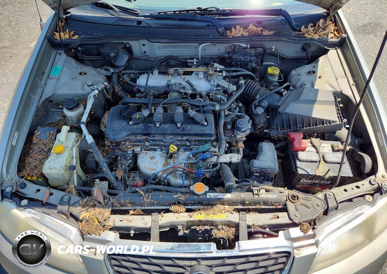 2002 Nissan Sentra Xe VIN:3N1CB51D62L648747 - 11