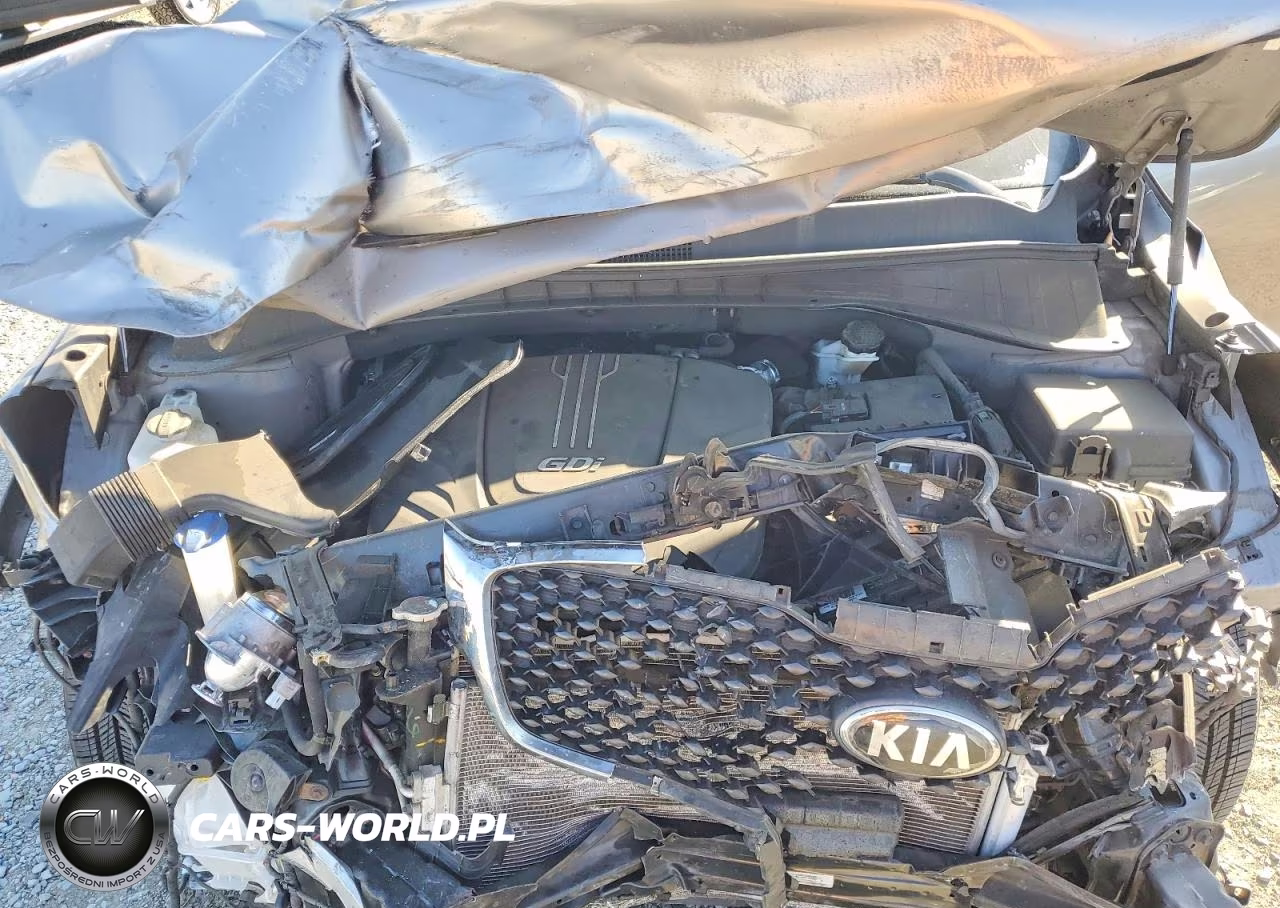 2017 Kia Sorento Lx V6 VIN:5XYPG4A54HG225507 - 12