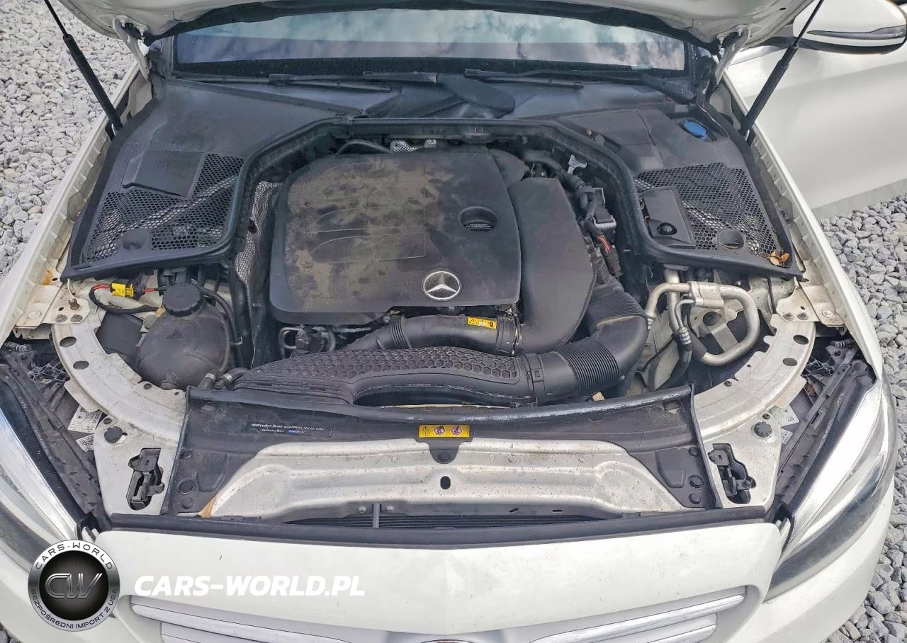 2019 Mercedes-Benz C 300 VIN:55SWF8DB7KU304710 - 11