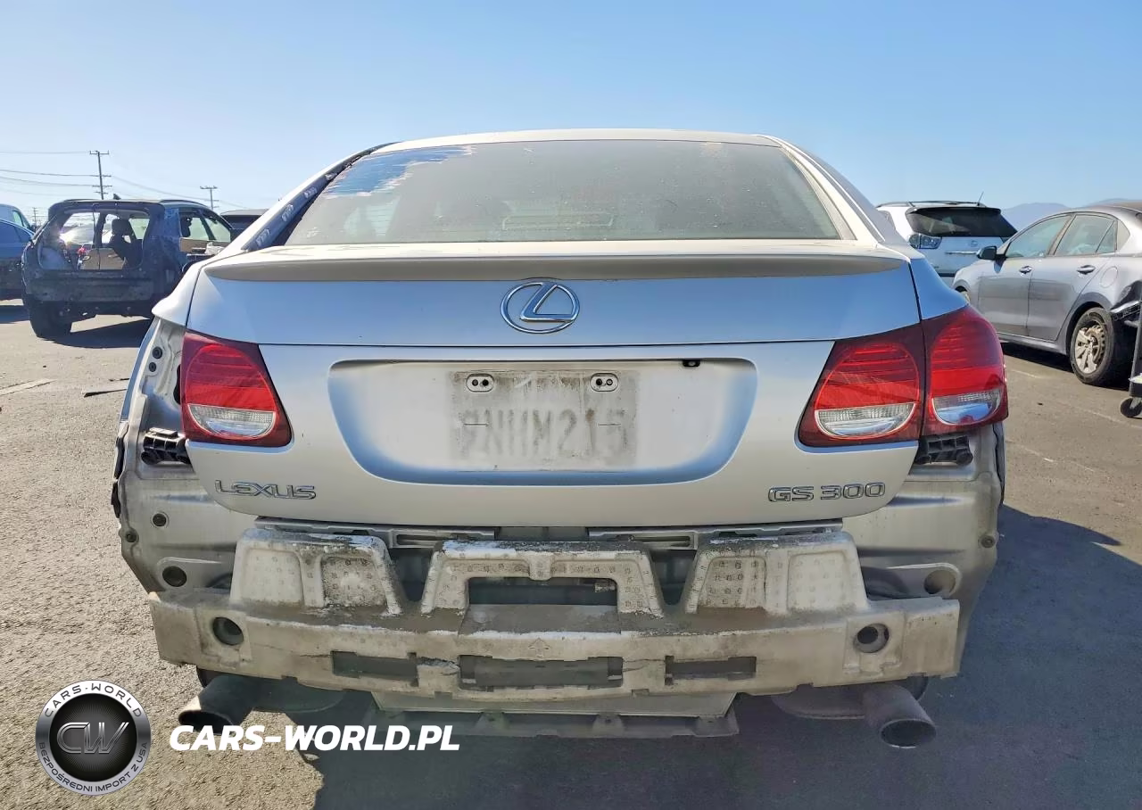 2006 Lexus Gs 300 VIN:JTHBH96S265017052 - 6
