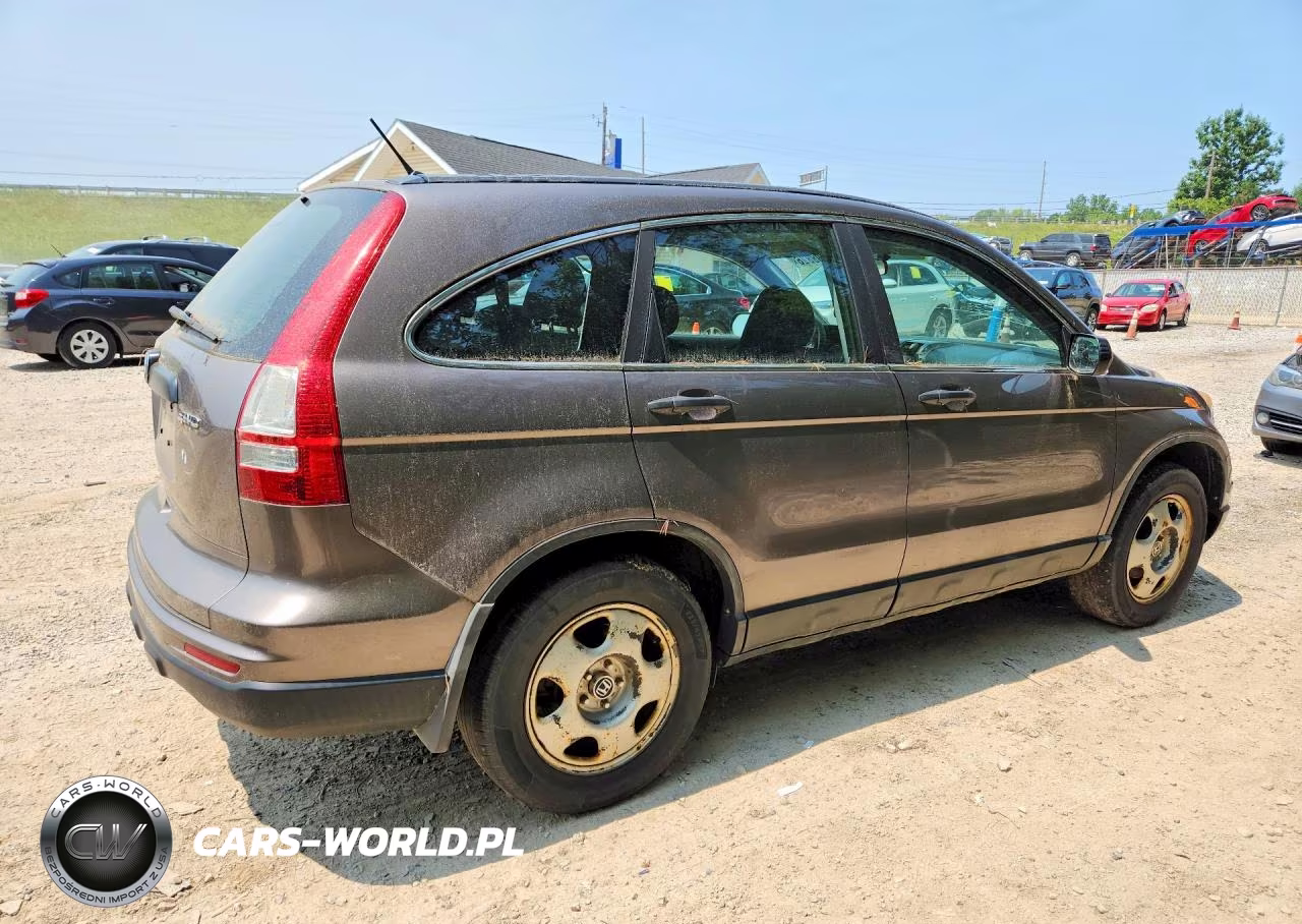 2010 Honda Cr-V Lx VIN:5J6RE4H36AL078162 - 3