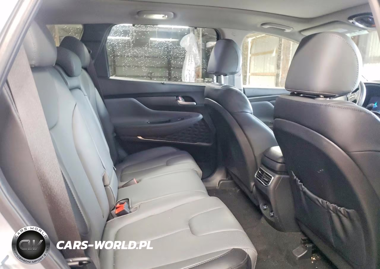 2023 Hyundai Santa Fe Sel Premium VIN:5NMS34AJ0PH626396 - 11