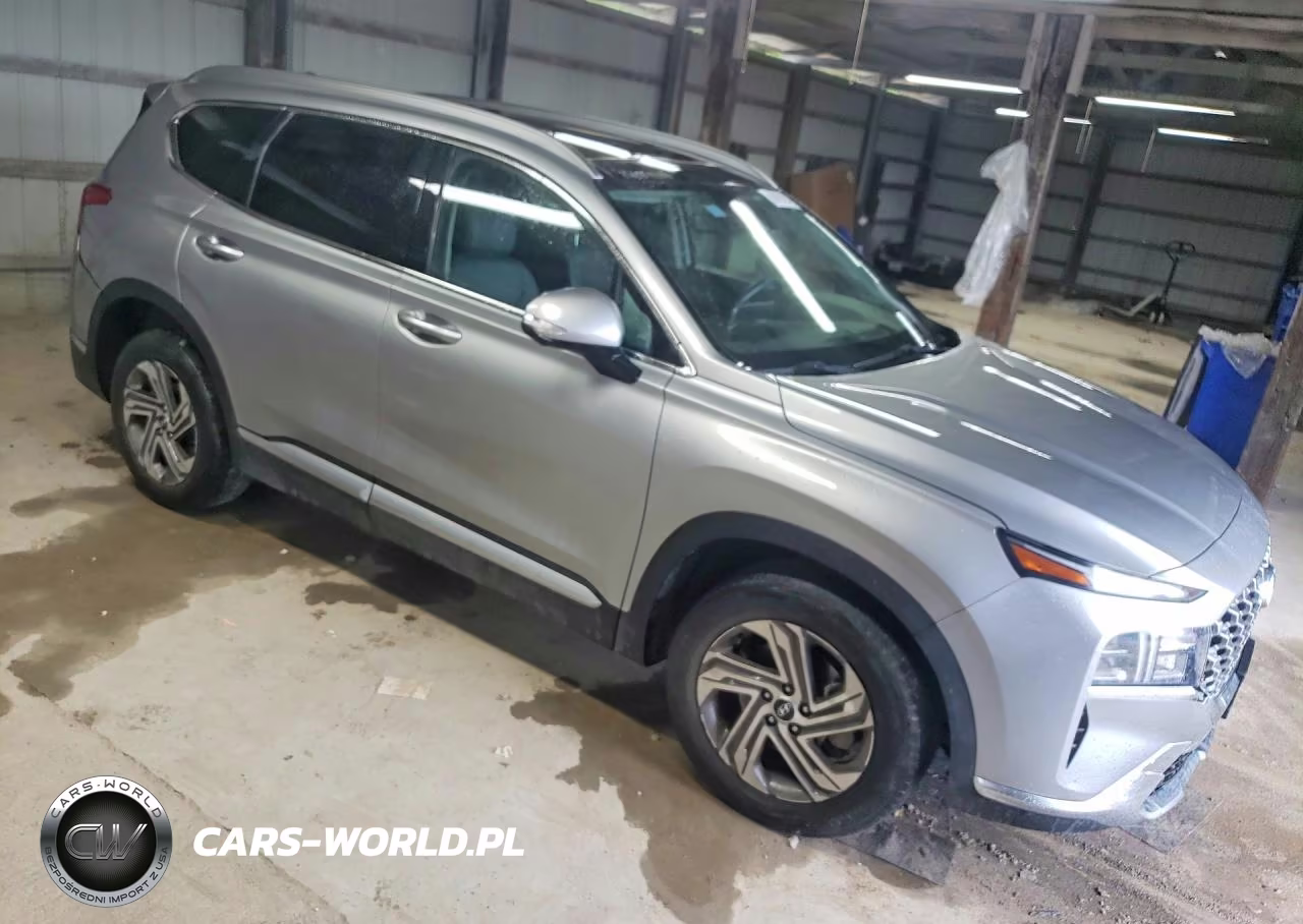2023 Hyundai Santa Fe Sel Premium VIN:5NMS34AJ0PH626396 - 4