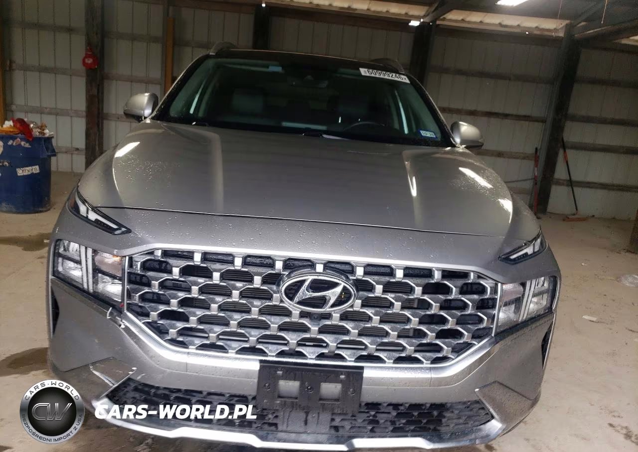 2023 Hyundai Santa Fe Sel Premium VIN:5NMS34AJ0PH626396 - 5