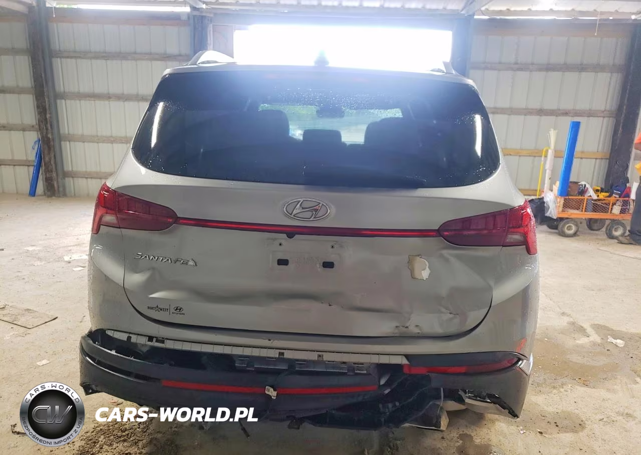 2023 Hyundai Santa Fe Sel Premium VIN:5NMS34AJ0PH626396 - 6