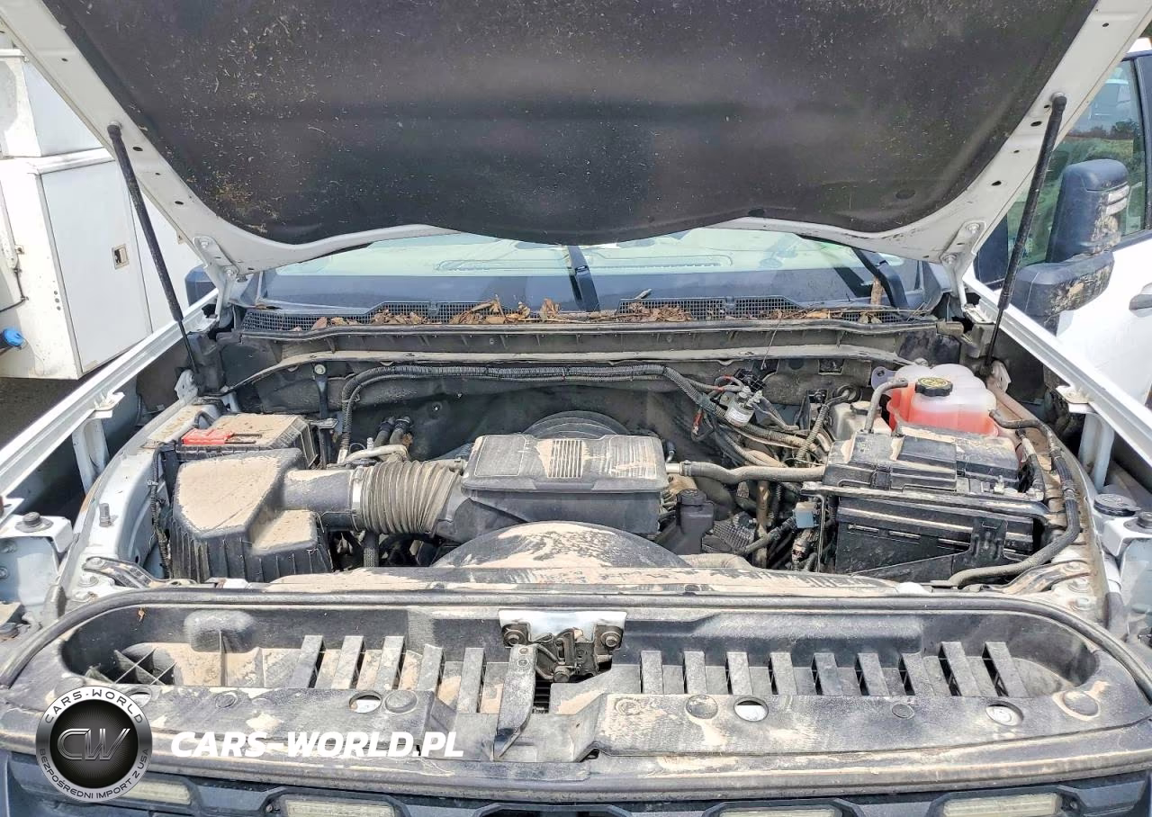 2021 Chevrolet Silverado C2500 Heavy Duty VIN:1GC4WLE76MF190073 - 11