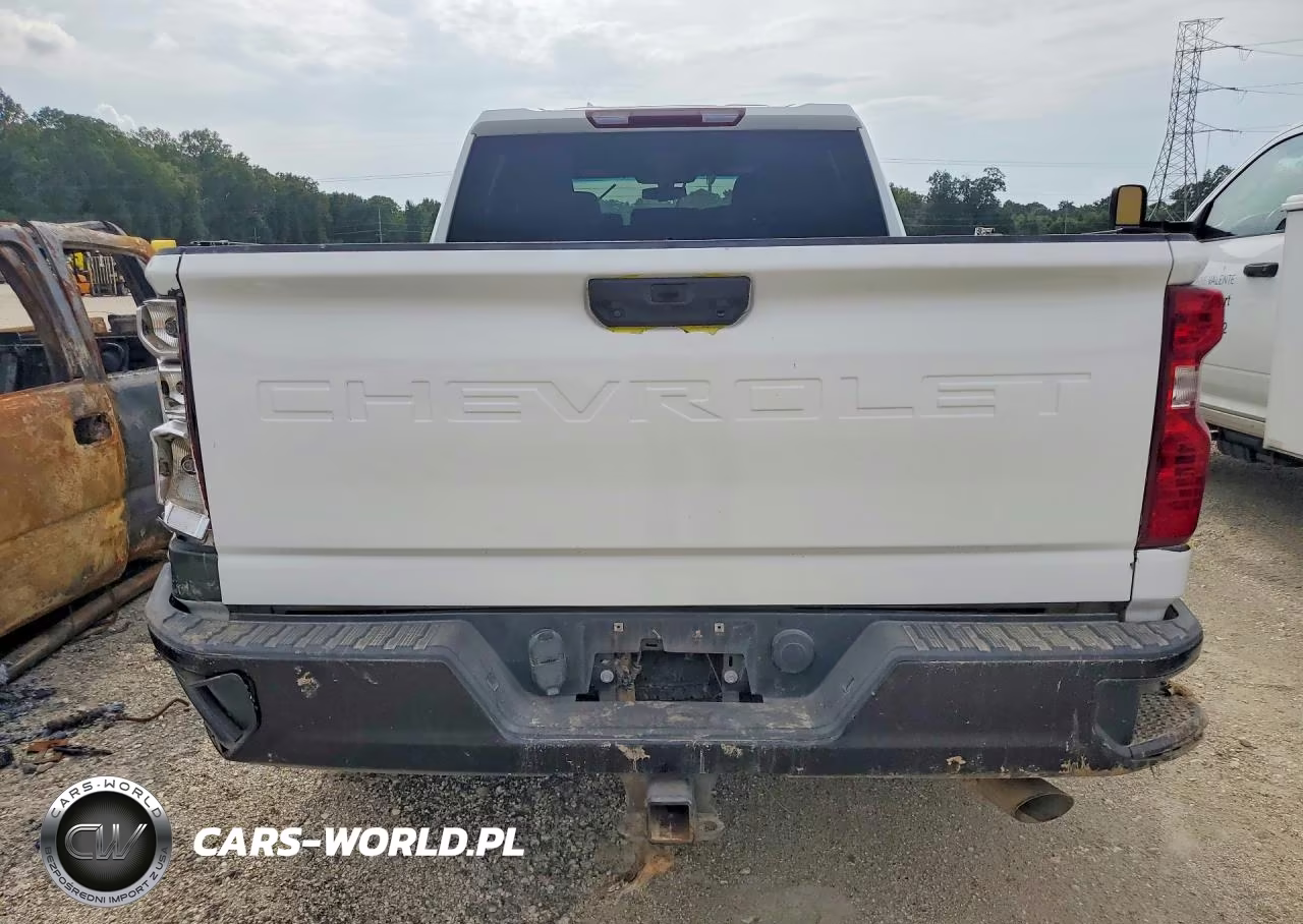 2021 Chevrolet Silverado C2500 Heavy Duty VIN:1GC4WLE76MF190073 - 6