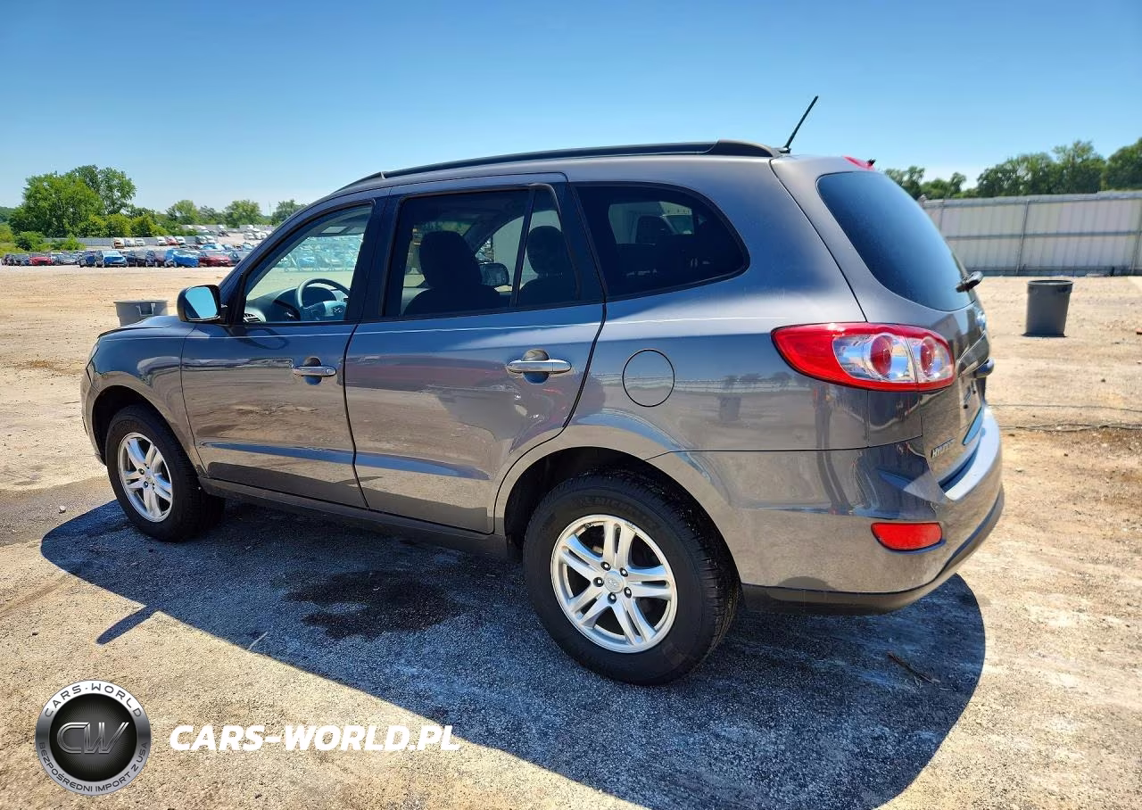 2010 Hyundai Santa Fe Gls VIN:5NMSGDAB9AH397883 - 2