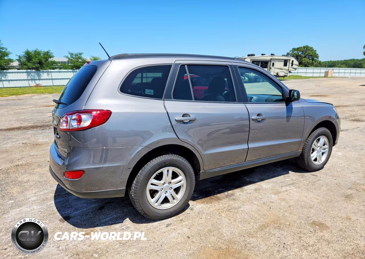 2010 Hyundai Santa Fe Gls VIN:5NMSGDAB9AH397883 - 3