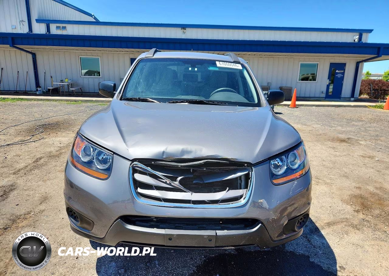 2010 Hyundai Santa Fe Gls VIN:5NMSGDAB9AH397883 - 5