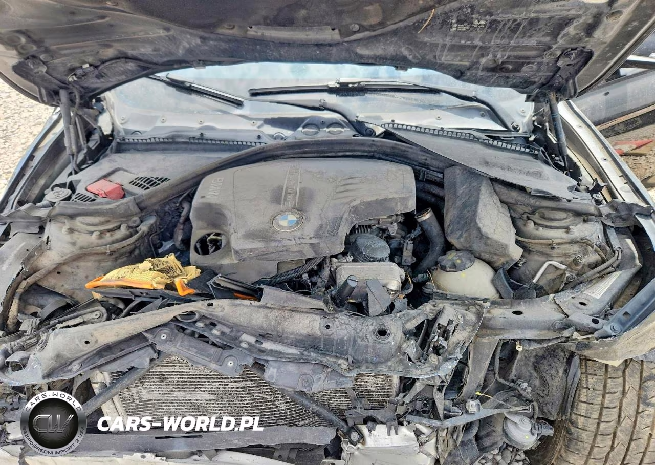 2015 BMW 320 I VIN:WBA3B1C55FK139748 - 11