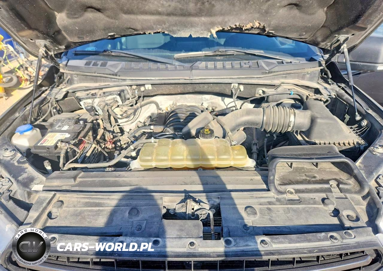 2019 Ford F150 Supercrew VIN:1FTEW1E58KKE78768 - 11