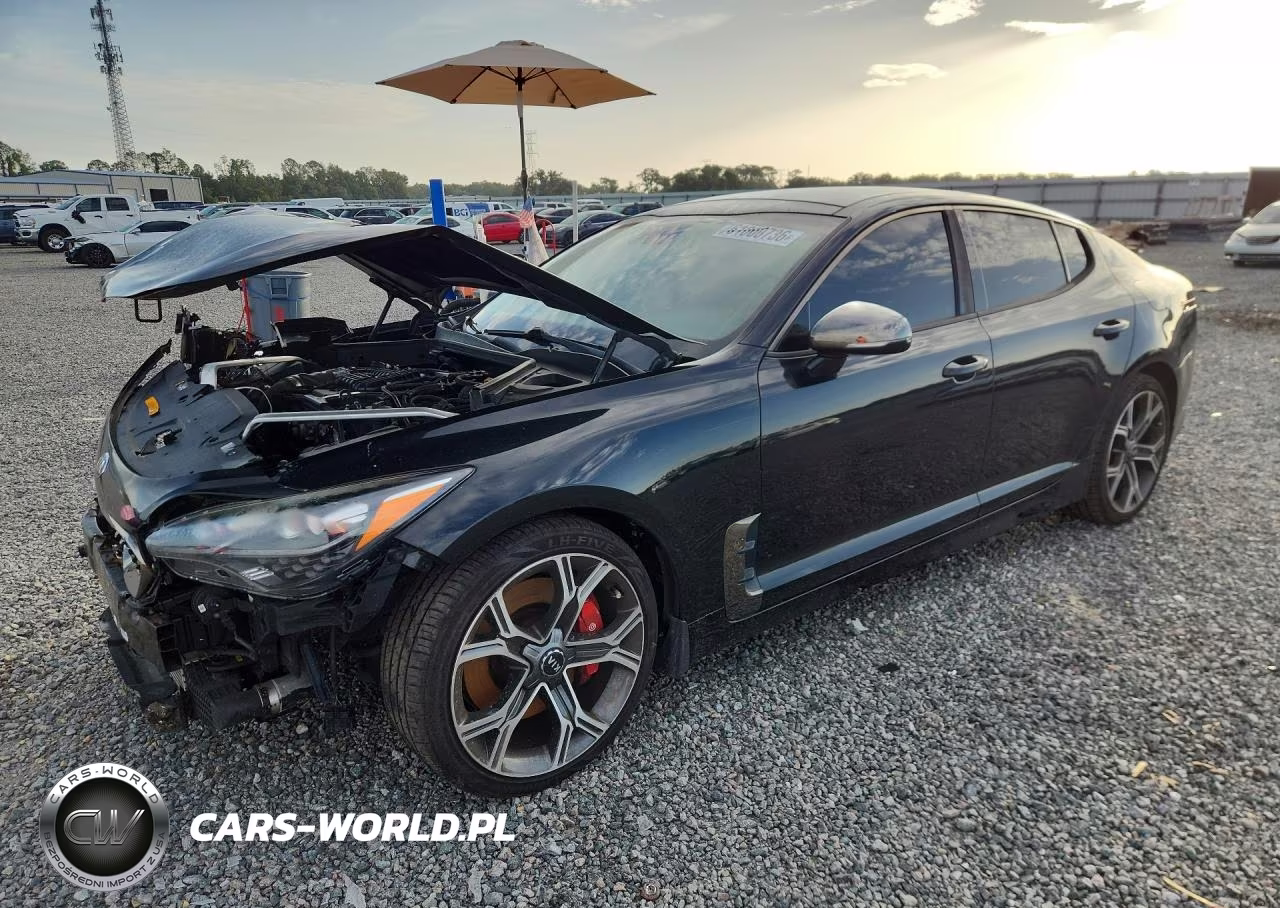 2019 Kia Stinger Gt1 – zdjęcie 1 z 12