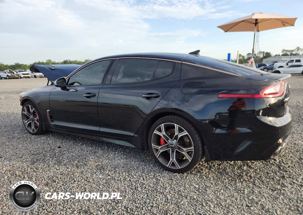 2019 Kia Stinger Gt1 VIN:KNAE45LC2K6051042 - 2