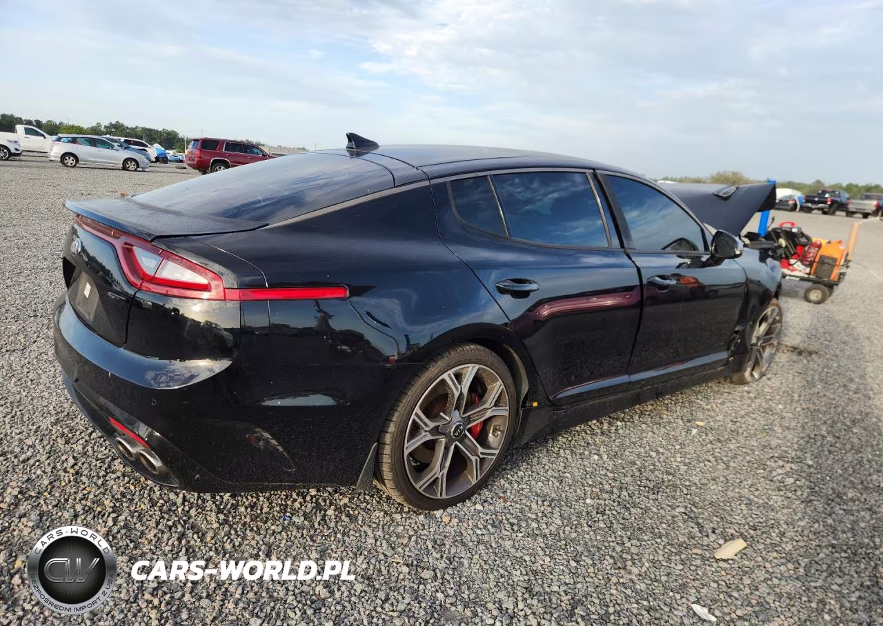 2019 Kia Stinger Gt1 VIN:KNAE45LC2K6051042 - 3