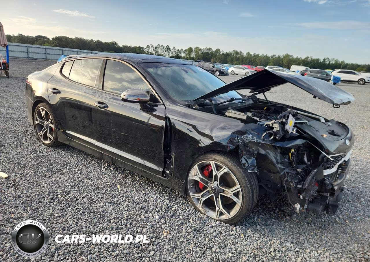 2019 Kia Stinger Gt1 VIN:KNAE45LC2K6051042 - 4