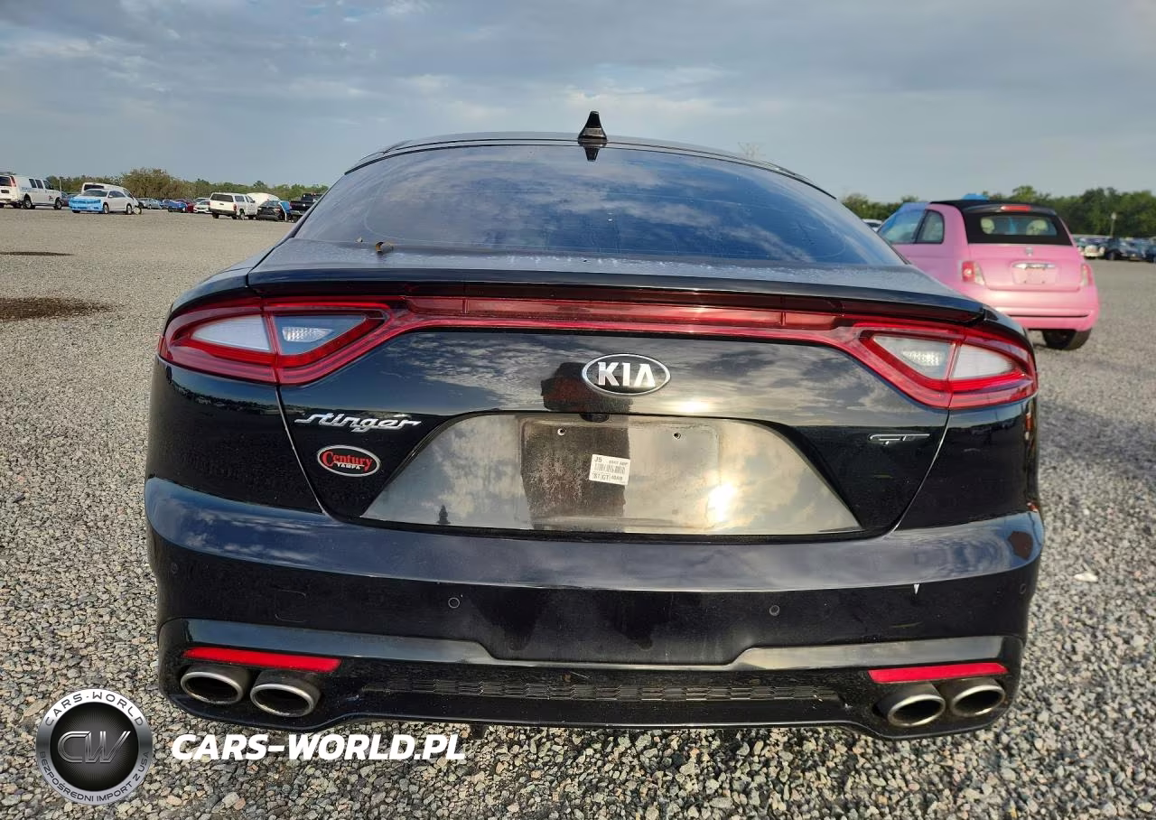 2019 Kia Stinger Gt1 VIN:KNAE45LC2K6051042 - 6