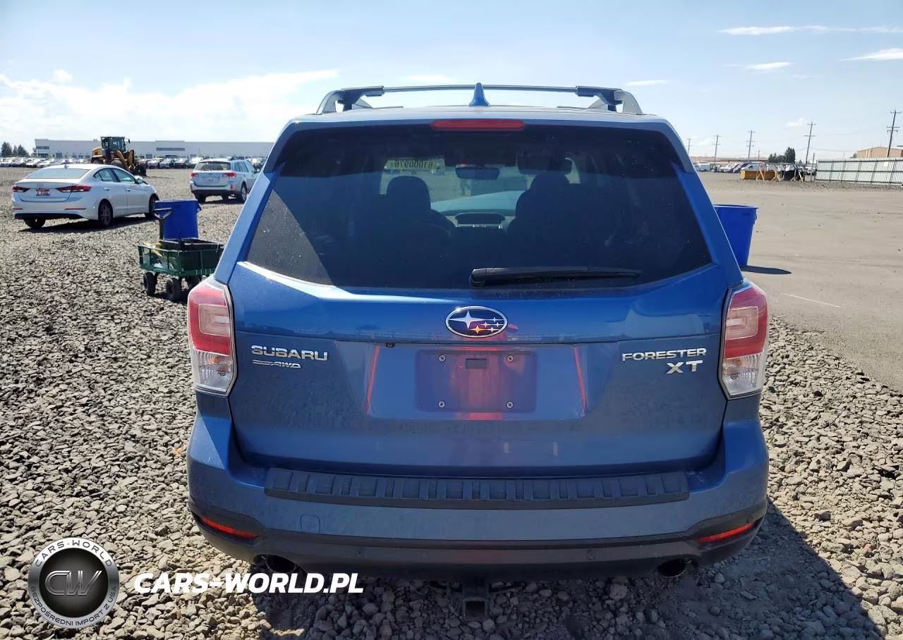 2017 Subaru Forester 2.0Xt Touring VIN:JF2SJGWCXHH459986 - 6