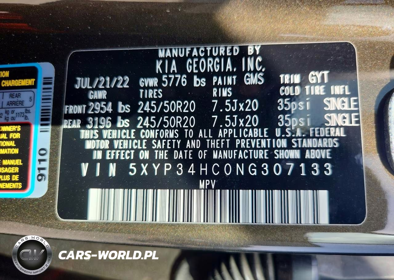 2022 Kia Telluride Ex VIN:5XYP34HC0NG307133 - 13