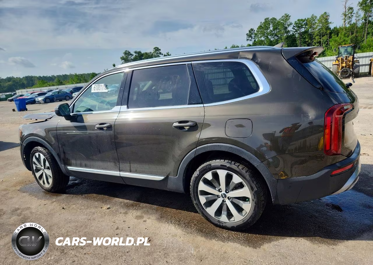 2022 Kia Telluride Ex VIN:5XYP34HC0NG307133 - 2