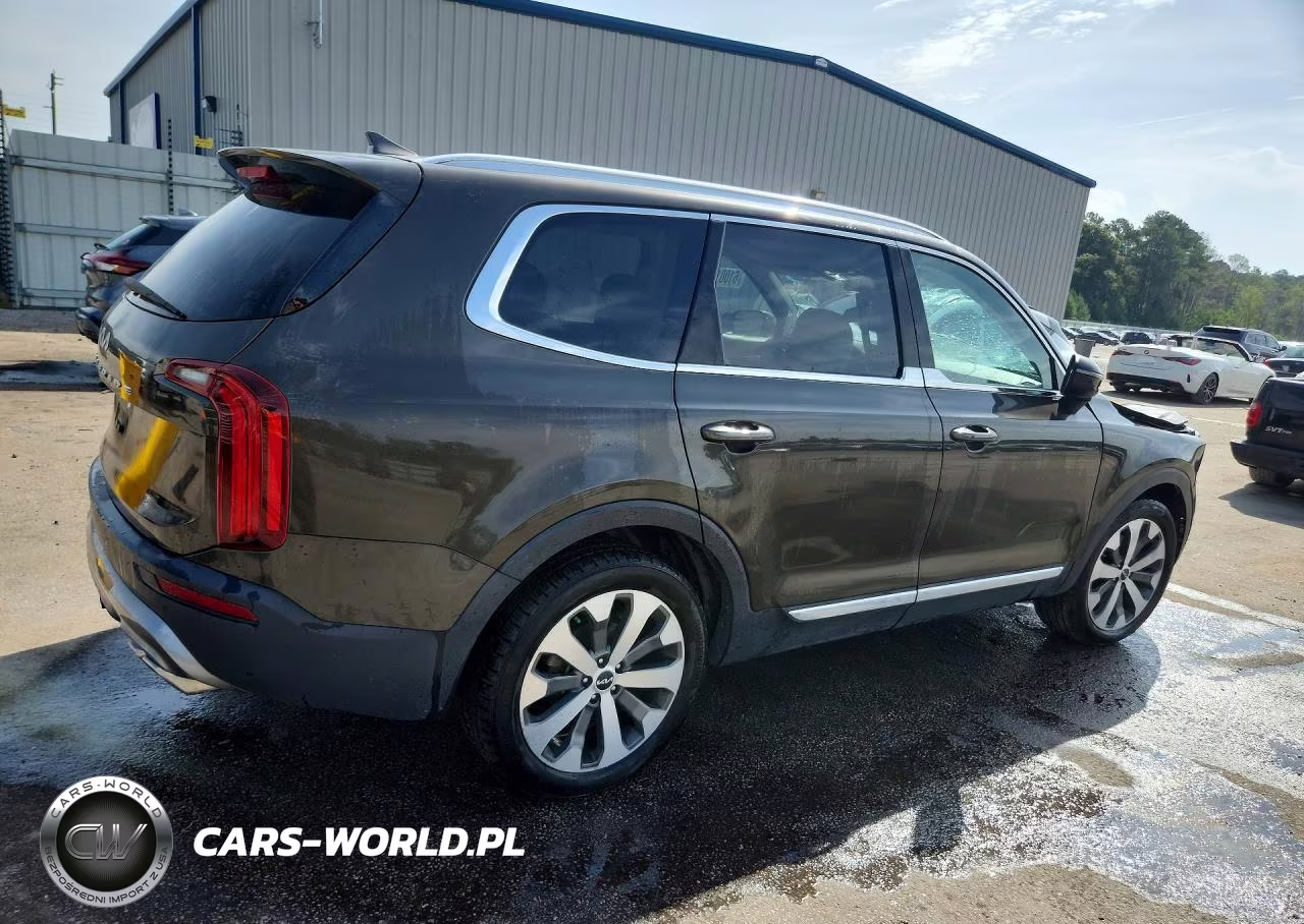 2022 Kia Telluride Ex VIN:5XYP34HC0NG307133 - 3