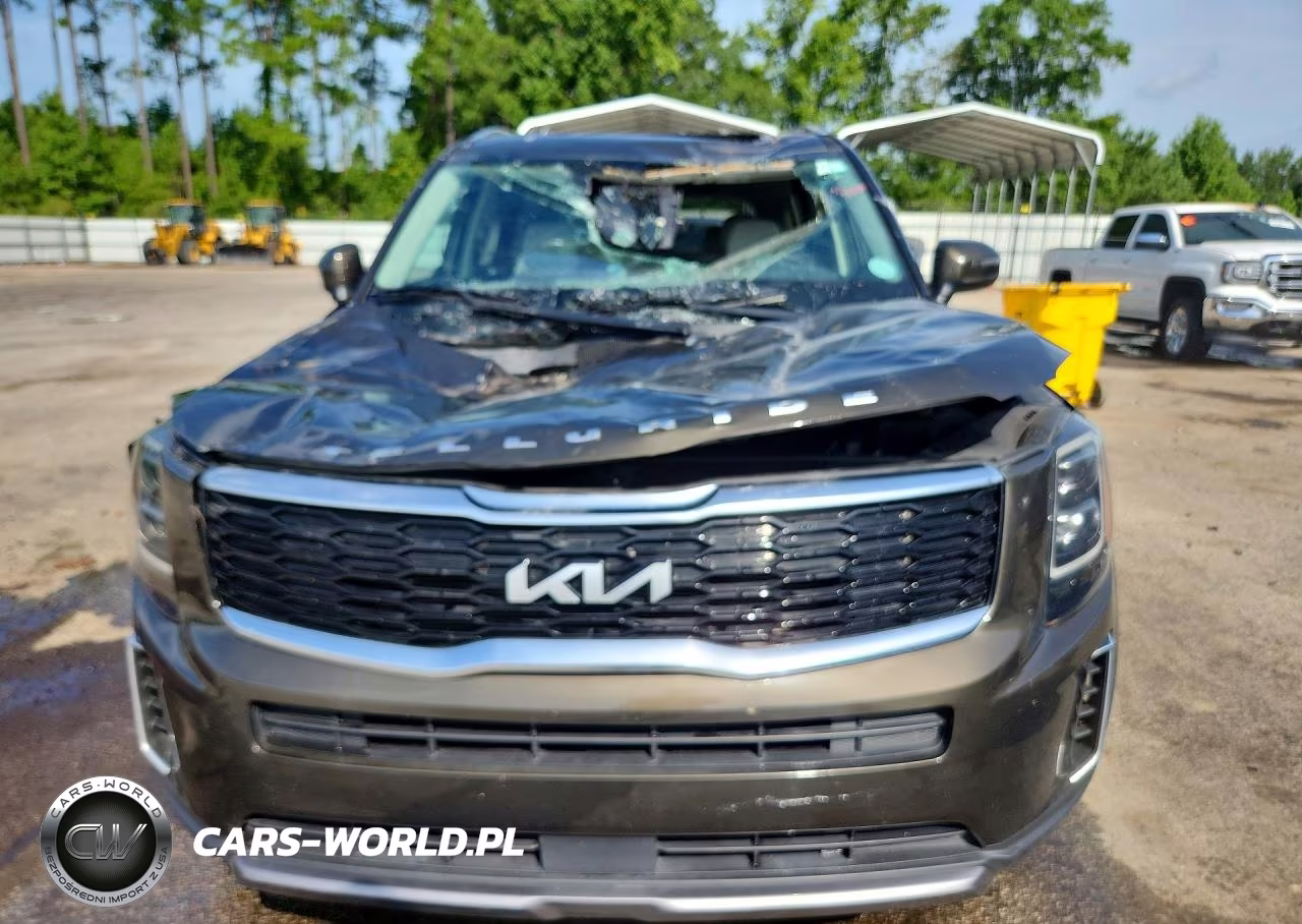 2022 Kia Telluride Ex VIN:5XYP34HC0NG307133 - 5