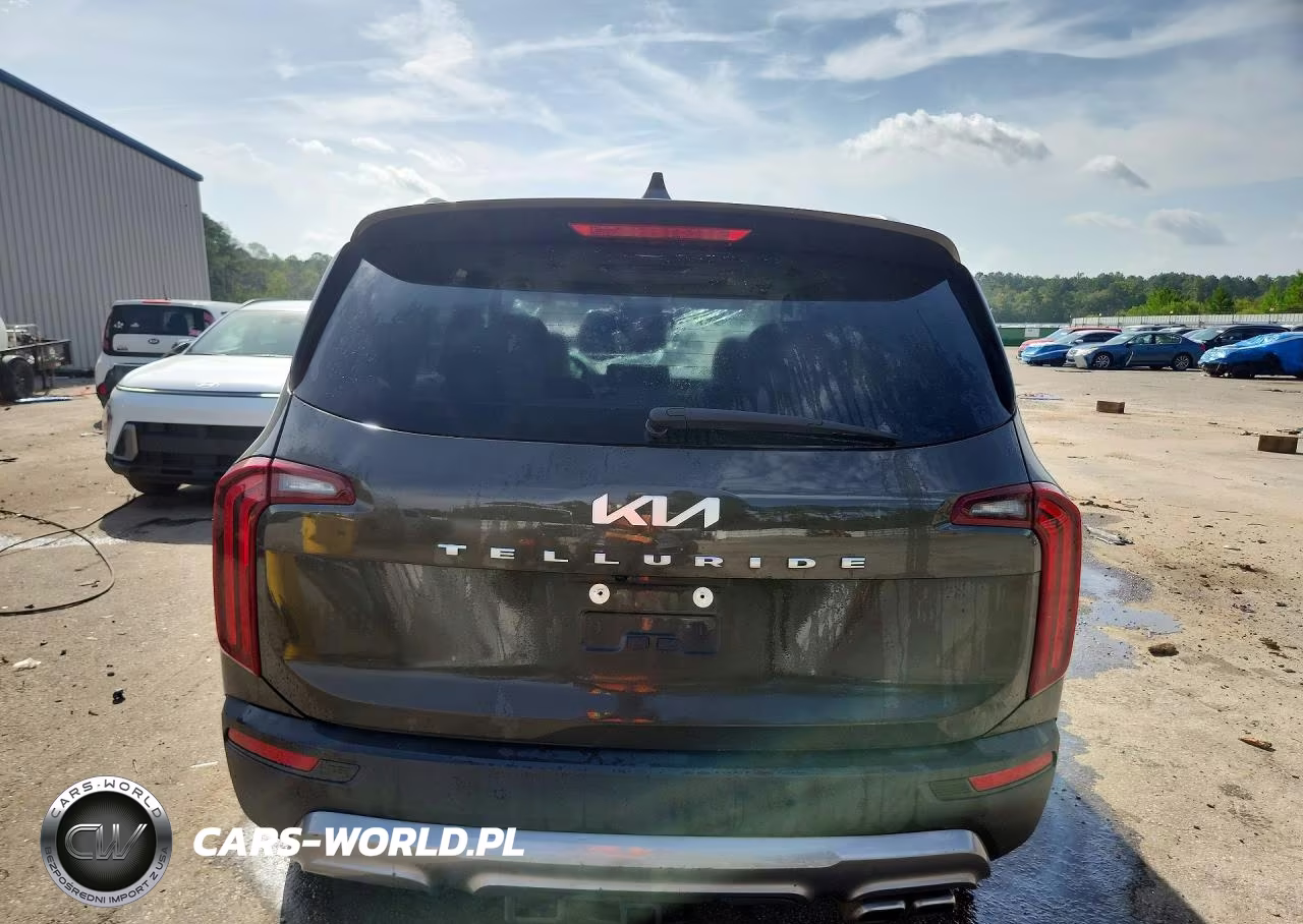 2022 Kia Telluride Ex VIN:5XYP34HC0NG307133 - 6