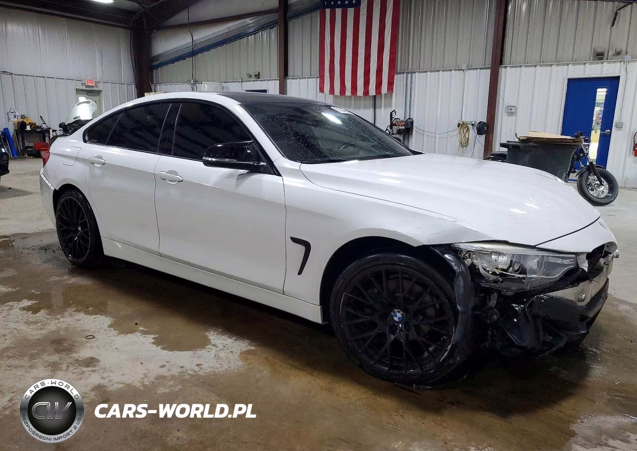 2015 BMW 428 I Gran Coupe Sulev VIN:WBA4A9C54FGL85778 - 4