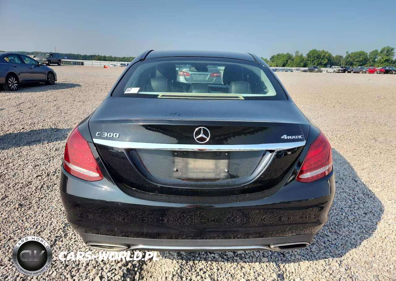2017 Mercedes-Benz C 300 4Matic VIN:55SWF4KB3HU197319 - 6