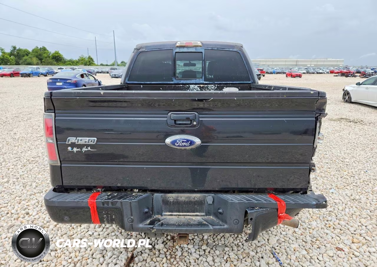 2013 Ford F150 Supercrew VIN:1FTFW1ET4DKG24816 - 6