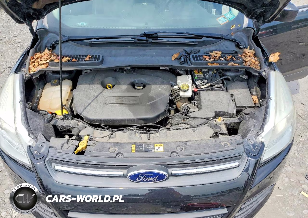2014 Ford Escape Se VIN:1FMCU9G91EUC80646 - 12