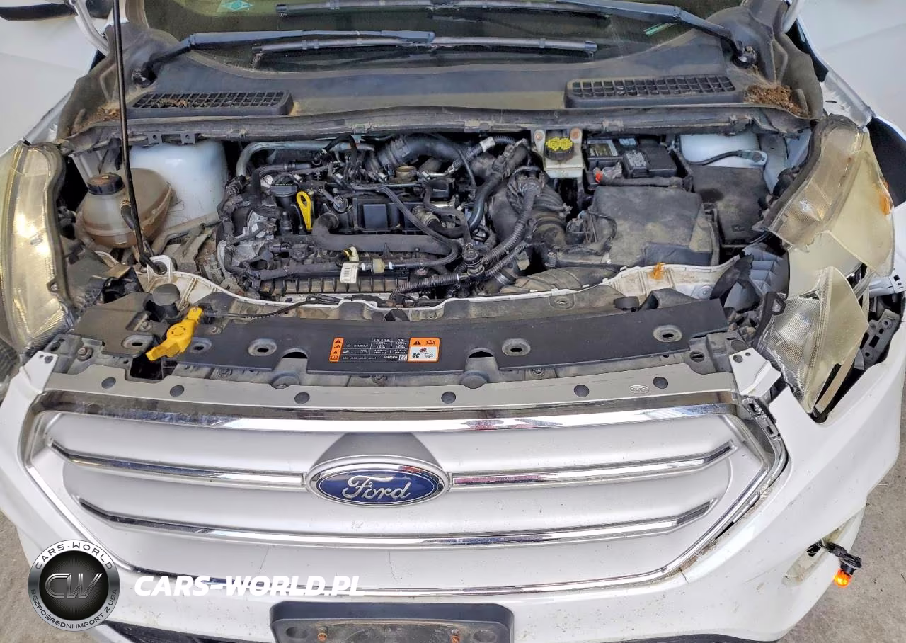 2018 Ford Escape Se VIN:1FMCU9GD6JUB45323 - 12