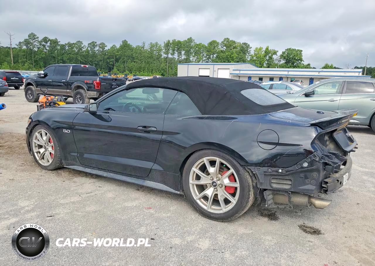 2015 Ford Mustang Gt VIN:1FATP8FF8F5373713 - 2