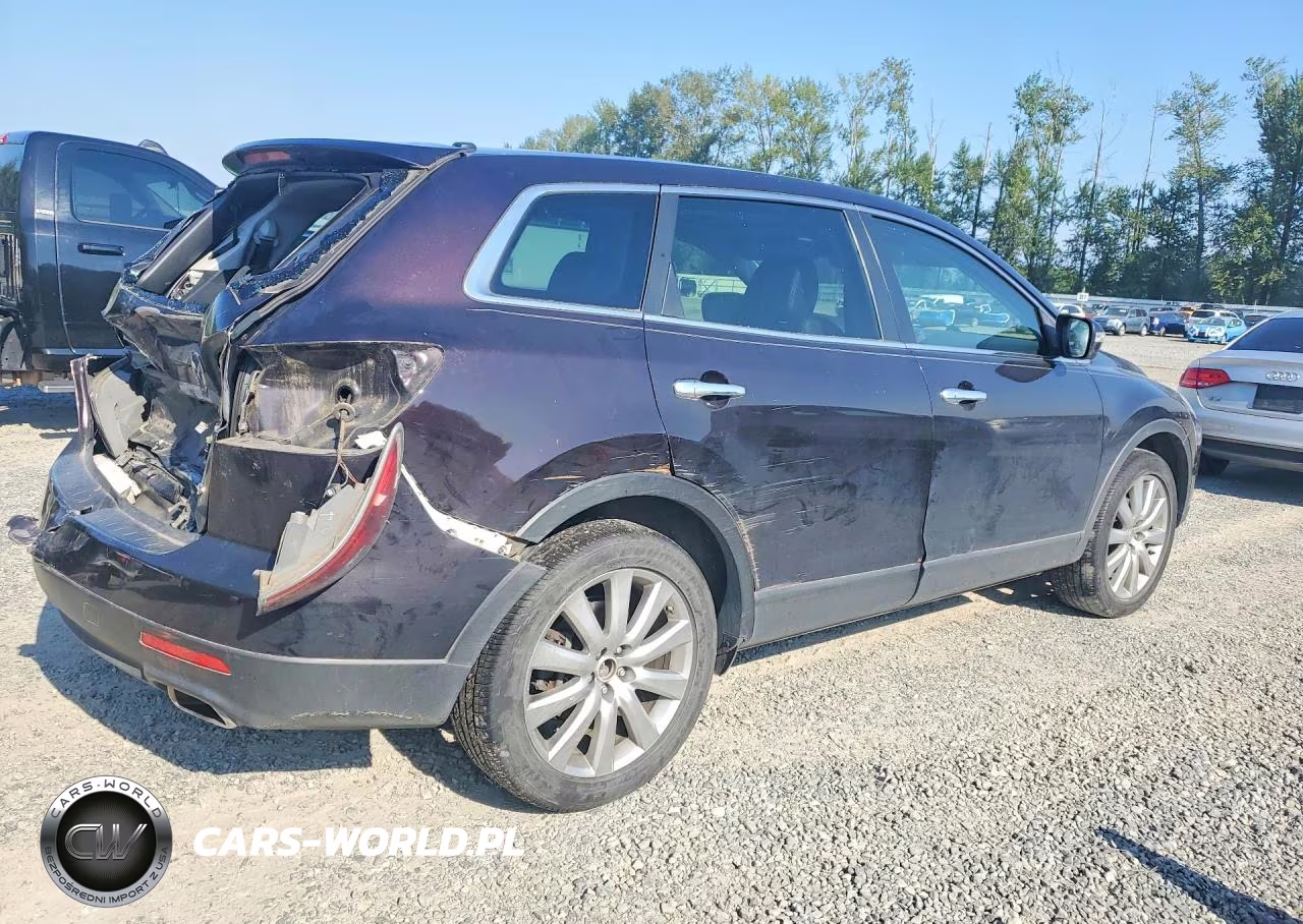 2008 Mazda Cx-9 VIN:JM3TB38AX80130392 - 3