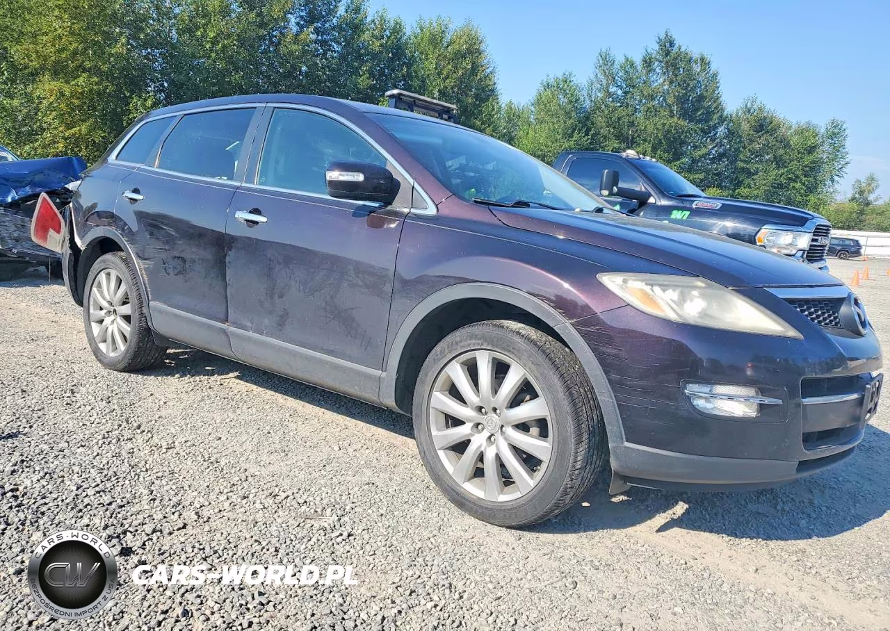 2008 Mazda Cx-9 VIN:JM3TB38AX80130392 - 4