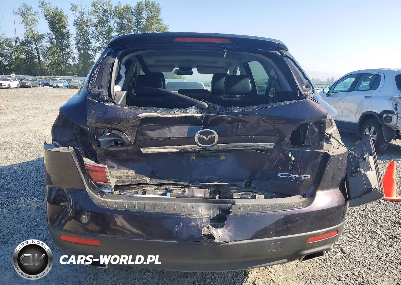 2008 Mazda Cx-9 VIN:JM3TB38AX80130392 - 6