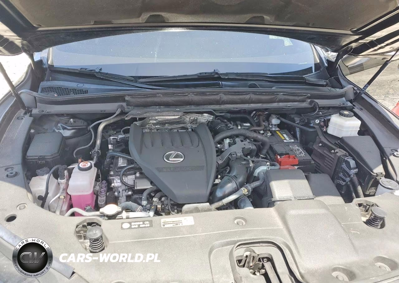 2024 Lexus Rx 350 F Sport Handling VIN:2T2BAMCA1RC041382 - 11