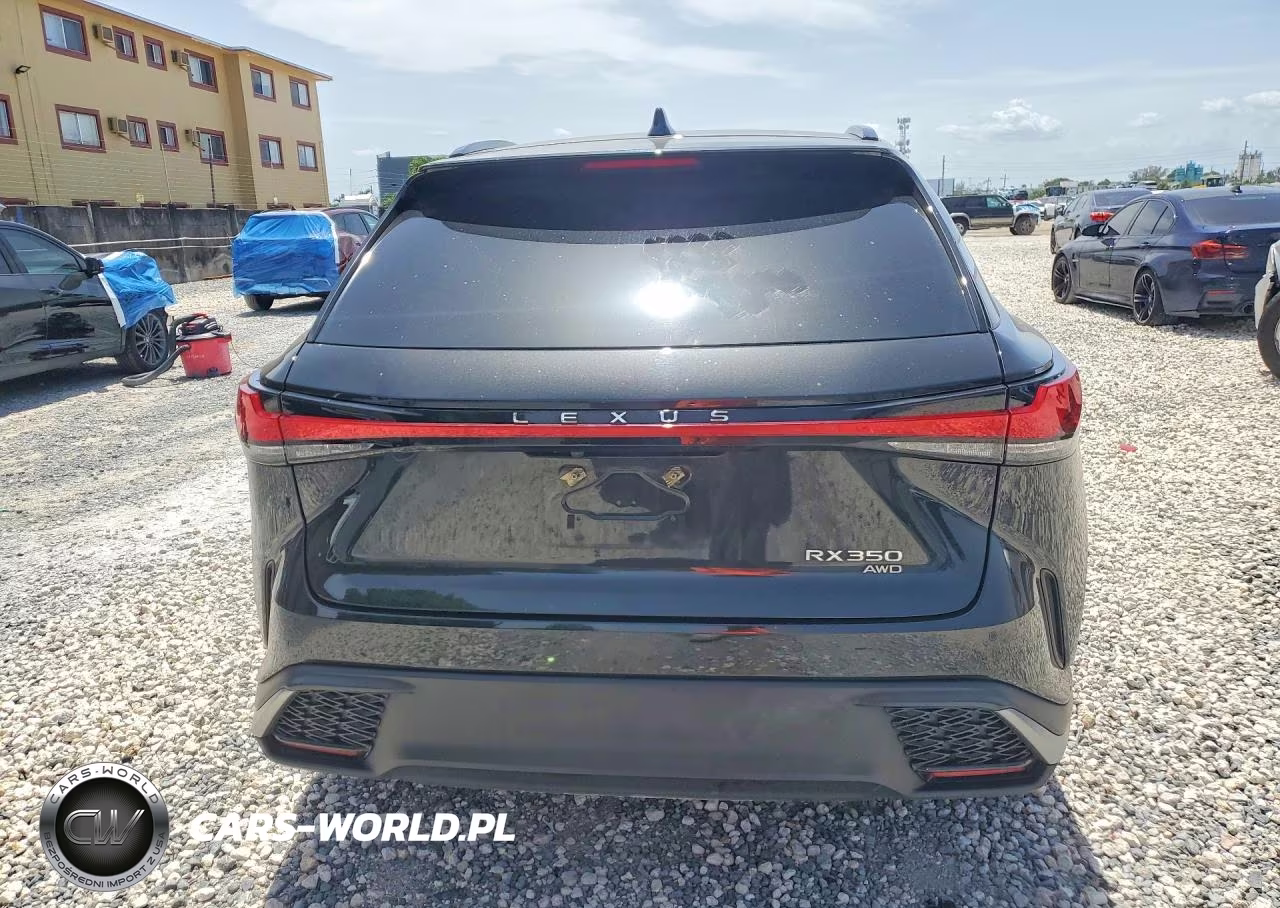 2024 Lexus Rx 350 F Sport Handling VIN:2T2BAMCA1RC041382 - 6