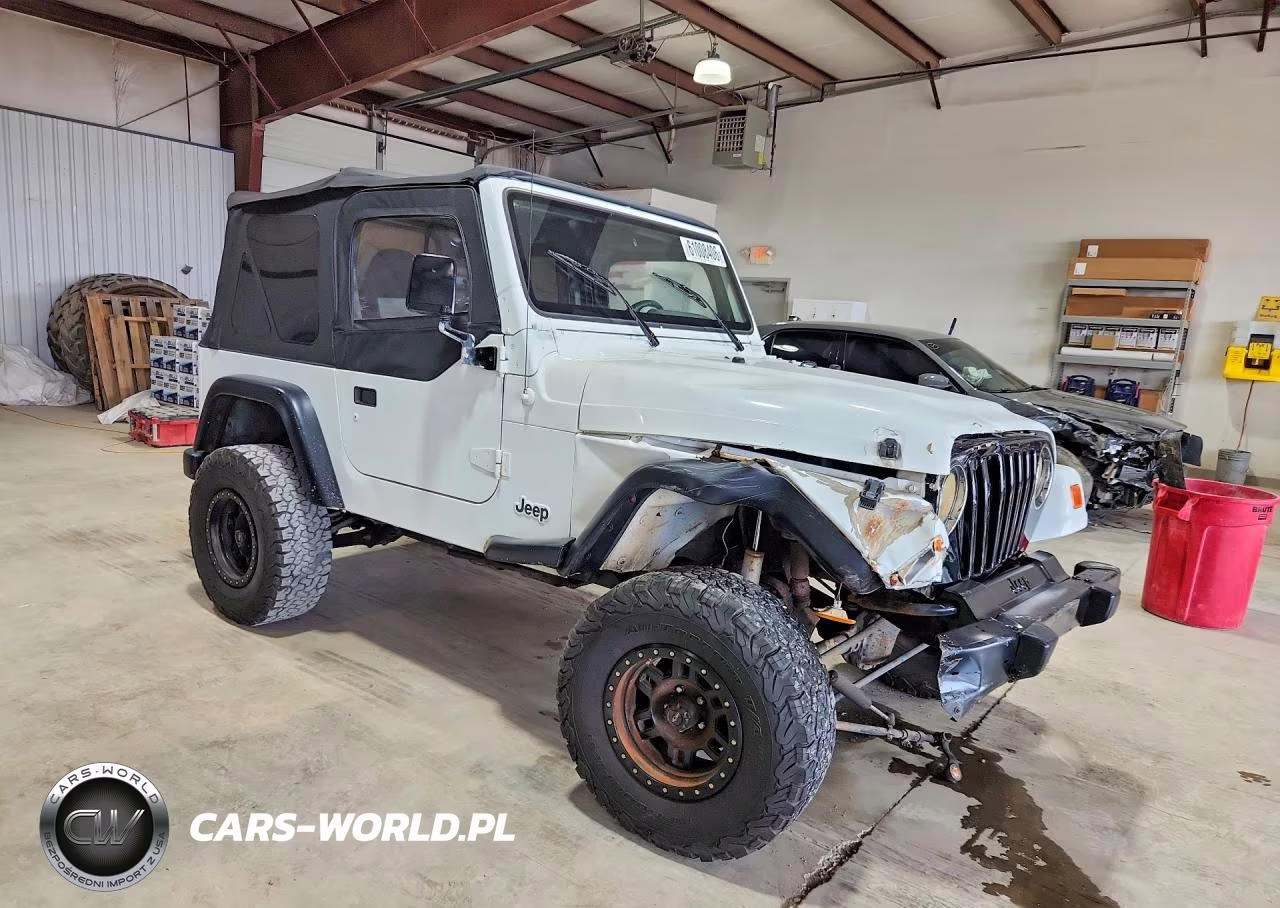 2000 Jeep Wrangler - Tj Se VIN:1J4FA29P0YP709155 - 4