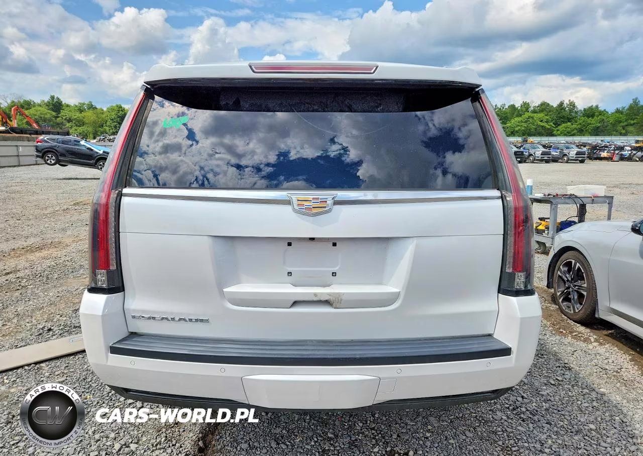 2016 Cadillac Escalade Luxury VIN:1GYS4BKJ3GR320220 - 6