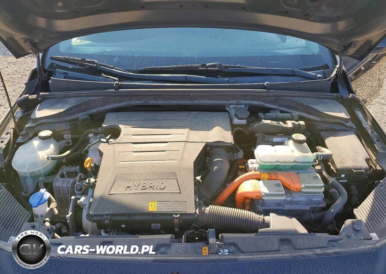 2019 Hyundai Ioniq Blue VIN:KMHC65LC6KU175309 - 11