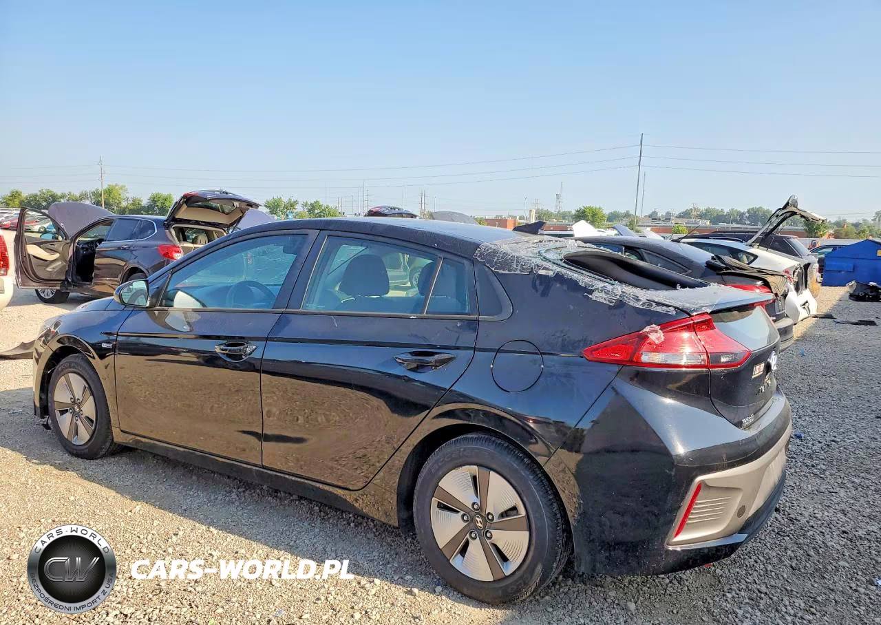 2019 Hyundai Ioniq Blue VIN:KMHC65LC6KU175309 - 2
