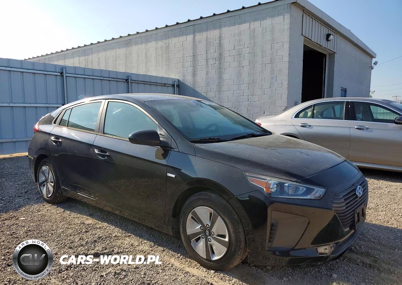 2019 Hyundai Ioniq Blue VIN:KMHC65LC6KU175309 - 4