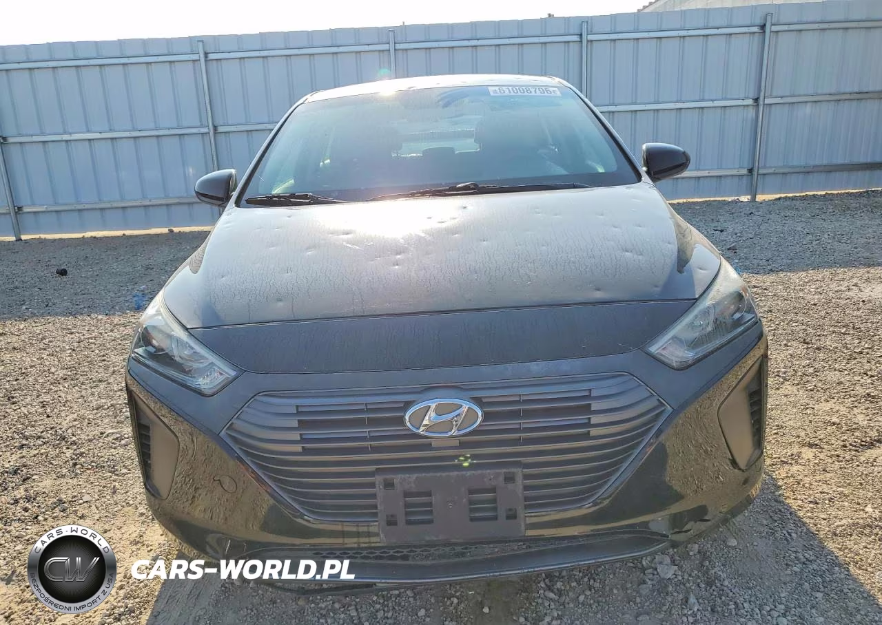 2019 Hyundai Ioniq Blue VIN:KMHC65LC6KU175309 - 5