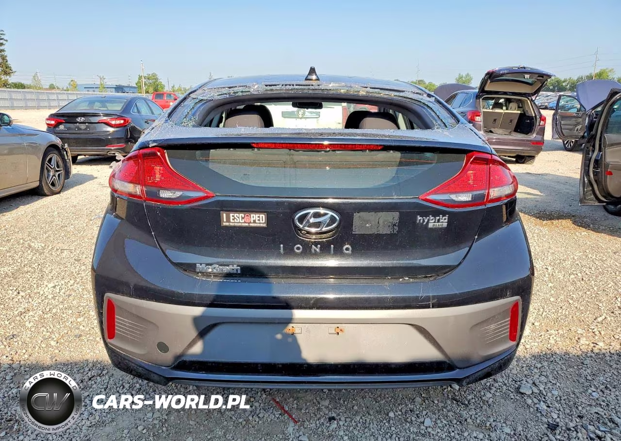 2019 Hyundai Ioniq Blue VIN:KMHC65LC6KU175309 - 6