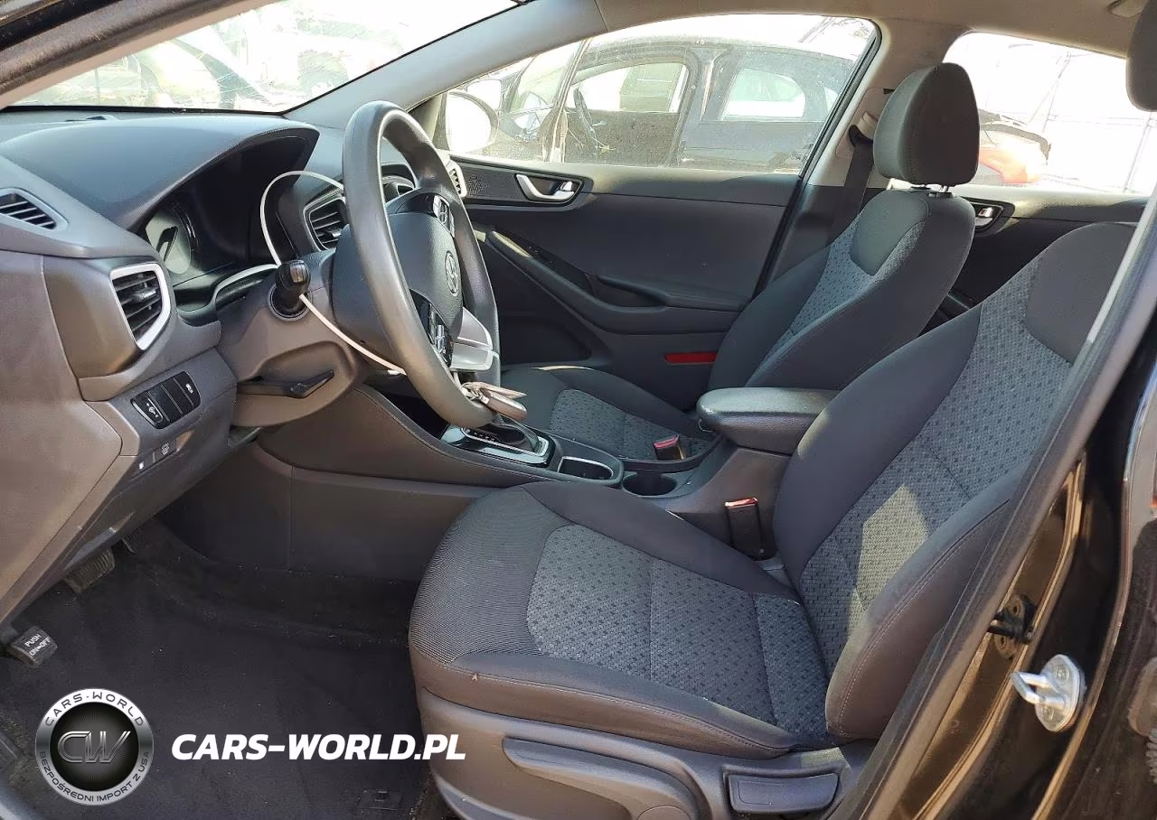 2019 Hyundai Ioniq Blue VIN:KMHC65LC6KU175309 - 7