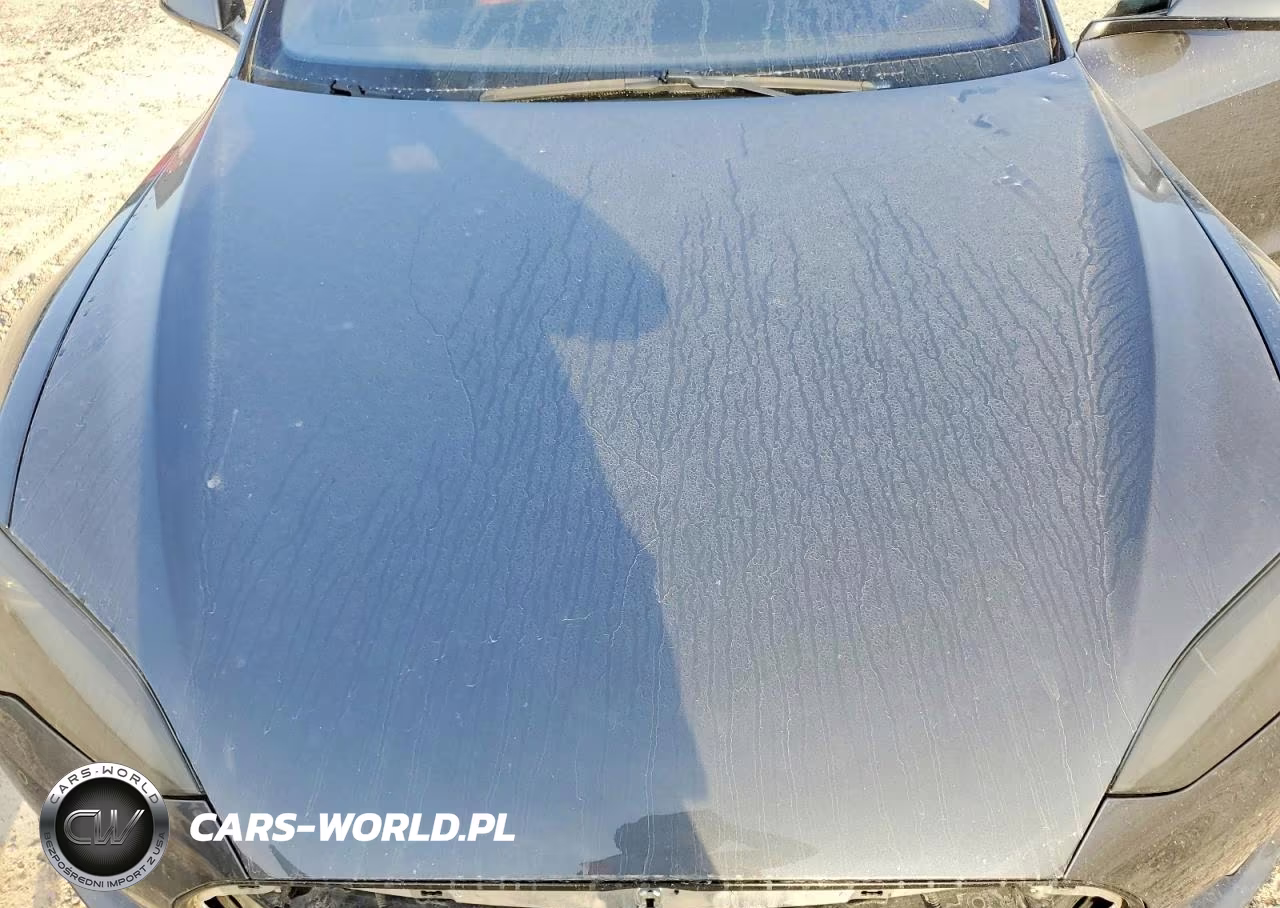 2016 Tesla Model S VIN:5YJSA1E46GF136510 - 11