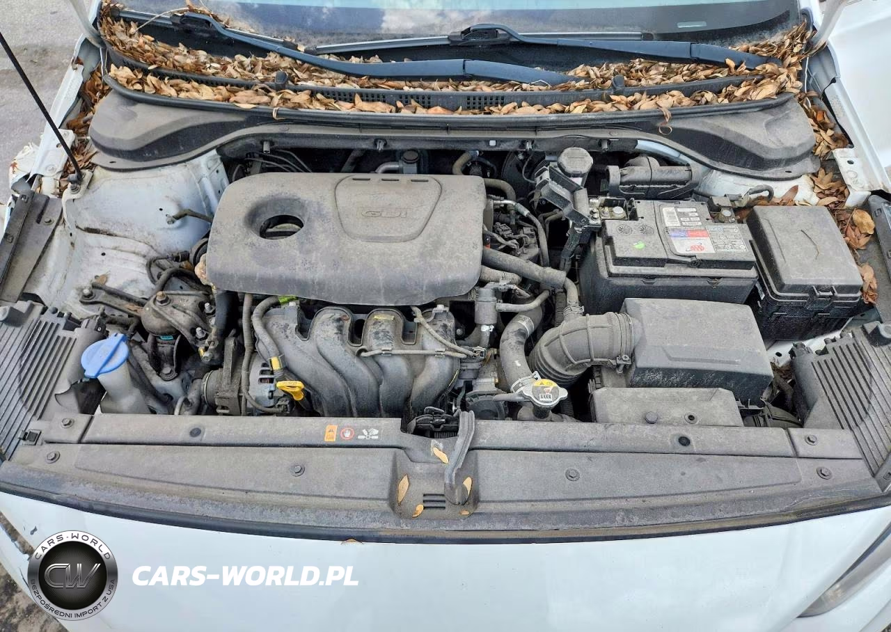 2019 Hyundai Accent Se VIN:3KPC24A34KE077018 - 11