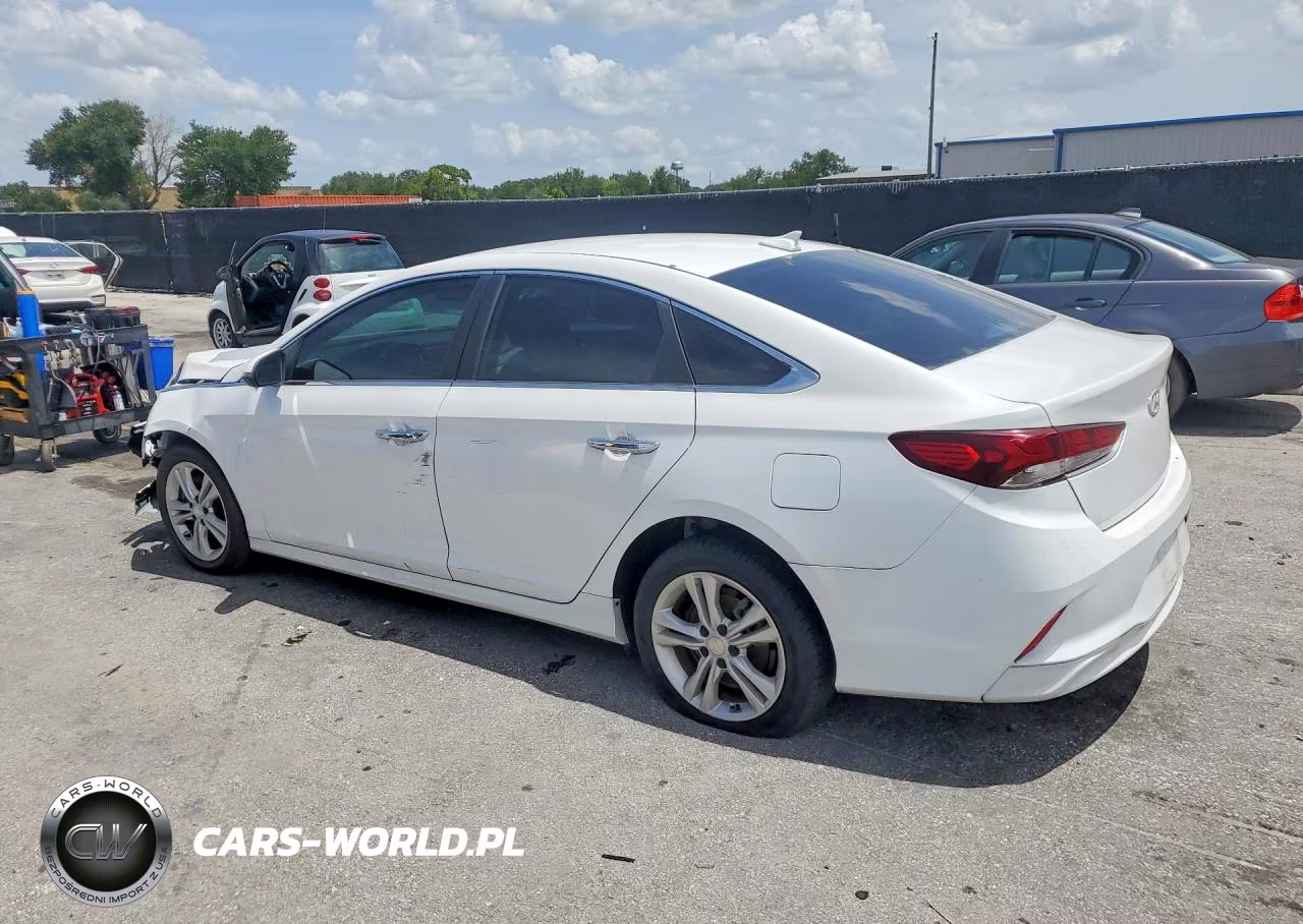2019 Hyundai Sonata Sel VIN:5NPE34AF2KH803535 - 2
